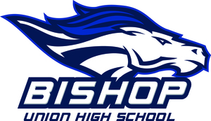 BUHS Completer Survey 2019-2020